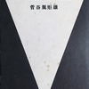 無言の現在　詩の原理あるいは埴谷雄高論　菅谷規矩雄評論集