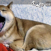 長い二日間が終わりました