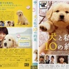 <span itemprop="headline">映画「犬と私の10の約束」（2008）</span>