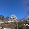 雪の八幡城