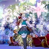 ちょっと早い、クリスマスハウジング🎄