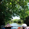 2024年6月　第２７次台湾旅行⑥　四草湿地を自転車で走ってきた。四草緑色隧道や台湾の歴史も感じてきた。