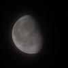 今日も月
