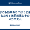 美容にも効果あり？ほうじ茶がもたらす美肌効果とそのメカニズム
