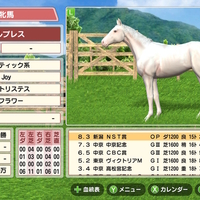 ダービースタリオン PARITYBIT DERBY STALLION