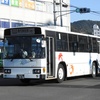 鹿児島交通(元東武バス)　976号車