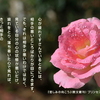 こころの道しるべ（242）心の状態