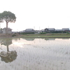 「田植」10 句