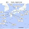 縄文ノート74　縄文宗教論：自然信仰と霊（ひ）信仰