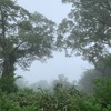 東北旅行NO2