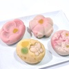 浅草『千茶』季節の桜、梅、蝶が躍る上生菓子と小豆の風味堪能小倉羊羹。