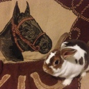 junbunnyのブログ