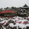 また雪