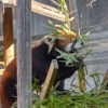 ラスト動物園