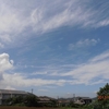 身の回りの植物たち（五島・シカリ家編）