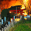 八戸の蕪島神社　全焼