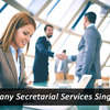 Why is Outsourced Company Secretarial Services Singapore Necessary? 
