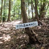 ズッコケtamaと行く『樅の木山』