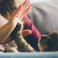 英語の挨拶 返事の仕方 調子が悪い時 How Are You と言われたら ごがっくま のブログ 英語の挨拶 返事の仕方 調子が悪い時 How Are You と言われたら ごがっくま のブログ