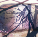 emotional flutter