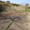 農地800平米　20万円位　まだ生きてた?