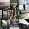 Photo Gallery #1