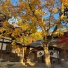 紅葉@深大寺と神代植物公園(東京)