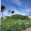 埼玉県 蓮田市・幸手市・白岡市・宮代町・杉戸町のまとめ