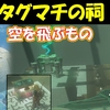 【ゼルダの伝説ティアキン】ジルタグマチの祠の行き方と攻略〔空を飛ぶもの〕宝箱の取り方も【ゼルダの伝説ティアーズオブザキングダム】