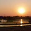 初夏の田園夕景（埼玉県幸手市）