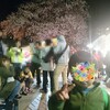 家族みんなで夜桜