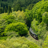 2025/05/05 新緑の中の快速ゆふいん号