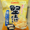 カルビー 堅あげポテト 鶏だし塩味