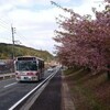 西添田駅 河津桜 キヤ検測を鷹見口で