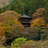 兵庫県の絶景スポット。紅葉狩りで有名な兵庫県丹波市の高源寺へ。