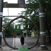 (日高・飯能)　高麗神社15回目の参拝
