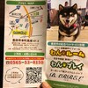 貸し切りドッグランへ行ってきた🐾