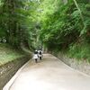 12年ぶりの平泉