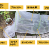 庭で秋野菜 15【玄関パノラマ】