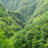 腱鞘炎