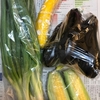 地元のJAの直売所で野菜を買いました。