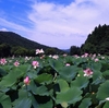 花はす公園　その１