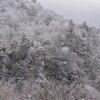 冬至の剣山遊山　樹氷界