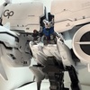 HGUC デンドロビウム