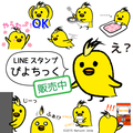 LINEスタンプ「ぴよちっく」リリース！記念に壁紙プレゼント！