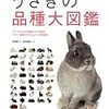 うさぎの品種大図鑑