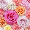 結婚を応援するLuckBridalClub（１１月２６日～１２月１日生まれの方）