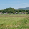 将軍山（宮崎県都城市）