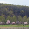 ゴールデンウイーク in 赤井川村