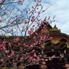 花より団子　梅よりお餅　北野天満宮より中村軒